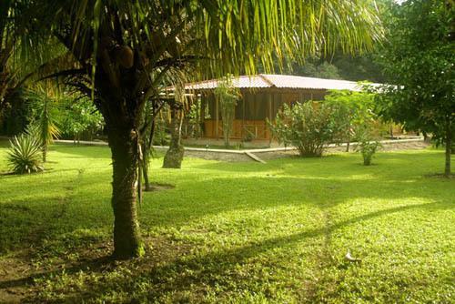 Turtle Beach Lodge Тортугеро Екстериор снимка